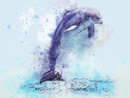 Dolphin Meditation For Children