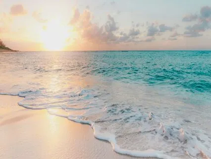 Dolphin Reef Meditation | A Guided Visualization