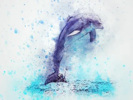 Dolphin Song Music For Relaxation