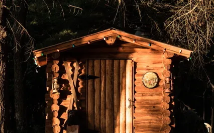 Domovoi, The Slavic House Spirit