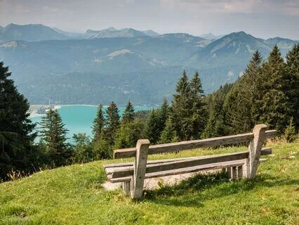 Don’t Believe Everything You Think