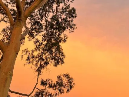 Don’t Get Up Yet: 5-Minute Morning Stretch