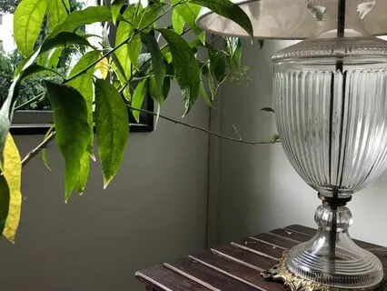 Don't Let Anyone Label You