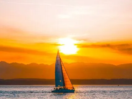 Don't Seek Greatness. Seek Aliveness.