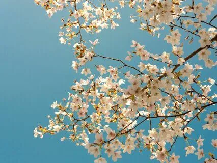 Don't Stop Believing: Morning Guided Meditation