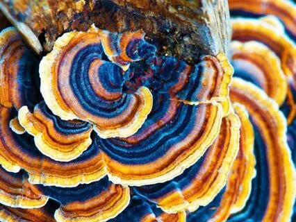 Don’t Take It Personally : Follow Your Shine