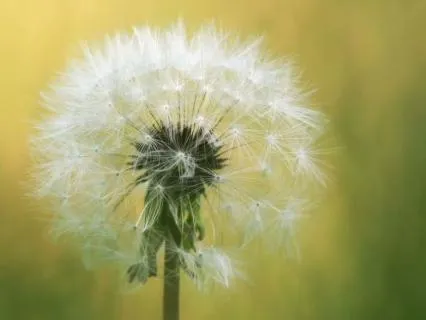 Don't Underestimate Your Spiritual Practice