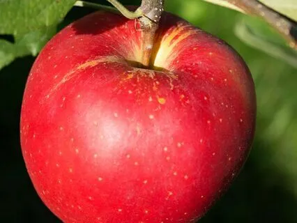 Don't Wanna Know – Longing For Connection With God