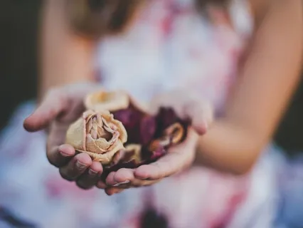 Donde Está el Amor (Love Song)