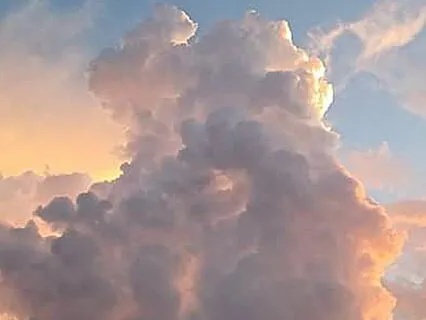 Donnabelle (Bilateral)