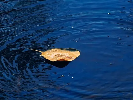 Don't Be A Sneaky Santa - Give Away Absolutely Everything