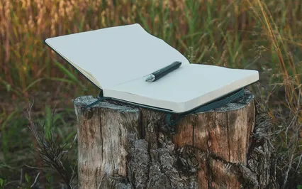 Don't Be So Top Down