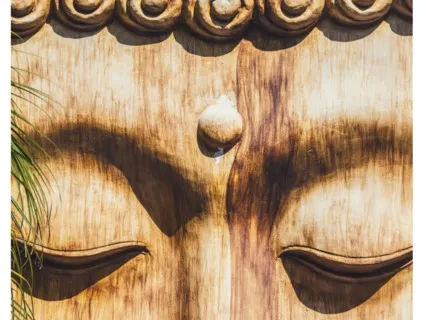 Don't Believe All The Thoughts You Think