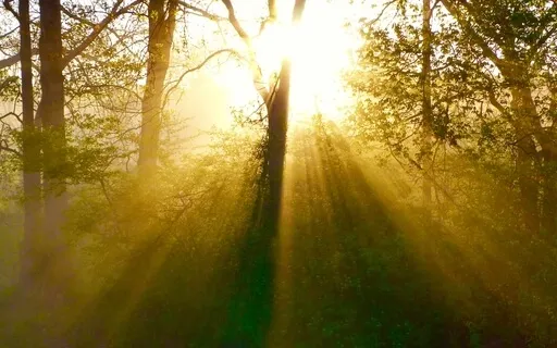 Don't Believe Everything You Think