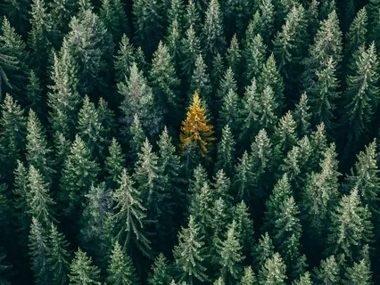 Don't Compare. You're Unique!