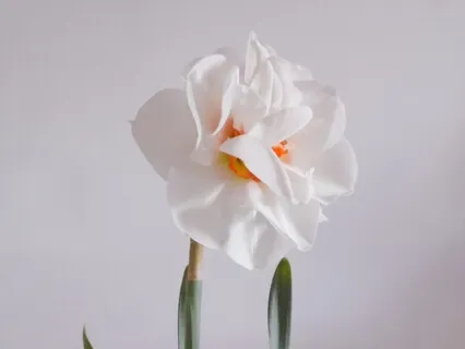 Don't Delay Your Happiness - Reality Check Podcast #179