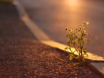 Don't Do The Hustle (Season 1)