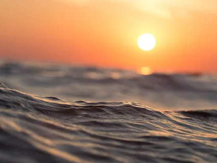 Don't Give Up, No Feeling Is Final