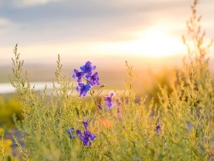 Don't Hide, A Song Of Awakening