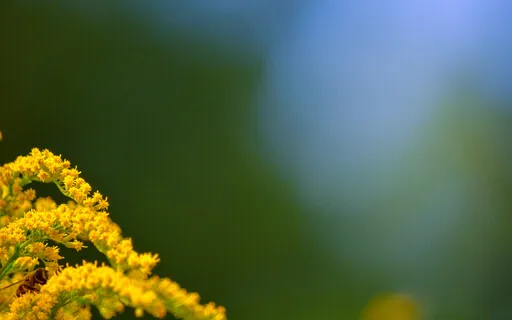 Don’t Let What You Feel Like Get In The Way