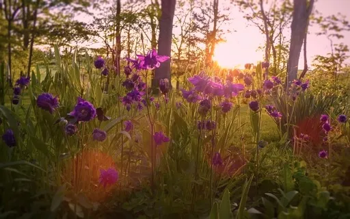 Don't 'Should' All Over Yourself: Practicing Self-Compassion