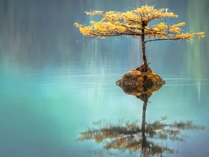 Don't Take Anything Personally