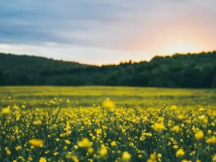 Don't Worry Meditation