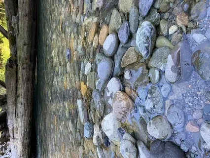 Doom Scrolling Social Media - Responding With Prayer