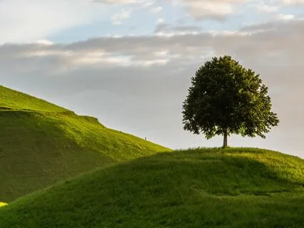 Door To The Subconscious - Guided Meditation (REMASTERED)