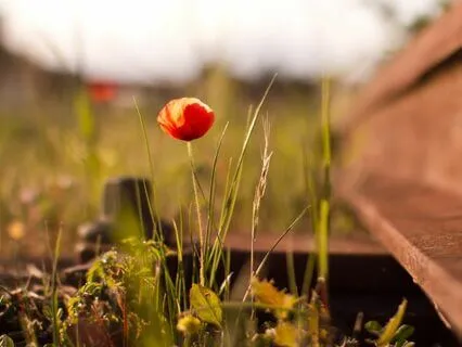 مراقبه دروازه بهشت