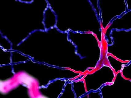 Dopamine Detox Meditation