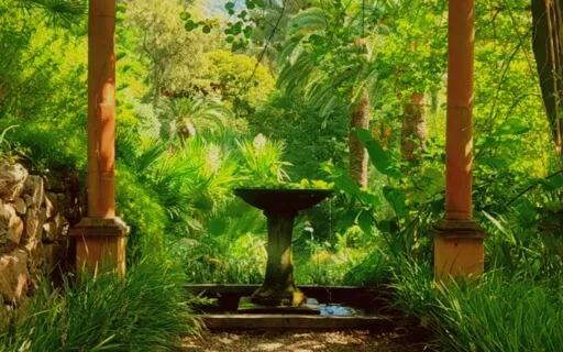 Dormez en Quelques Minutes avec des Sons d'une Fontaine Zen