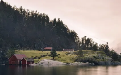 Dormir em Paz com o Som da Floresta