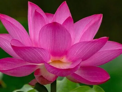 Double Your Income Meditation