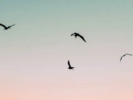 Doubt Spiral SOS: Peace In Uncertainty