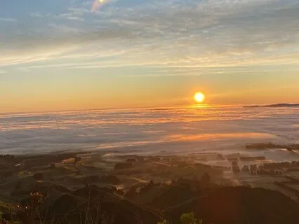 Douse Yourself In Love