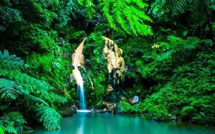 Down The Prehistoric Rabbit Hole (Bedtime Story With SFX)