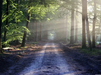 Down To Earth - Meditation For The Root Chakra