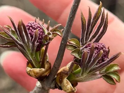 Down To The Heart Of You (Stop, Drop And Feel)