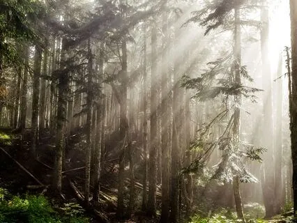 Downregulating Breathwork Practise