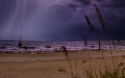 Doze Healing Sleep Music - 555Hz