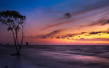 Doze Medus - Relaxing Music