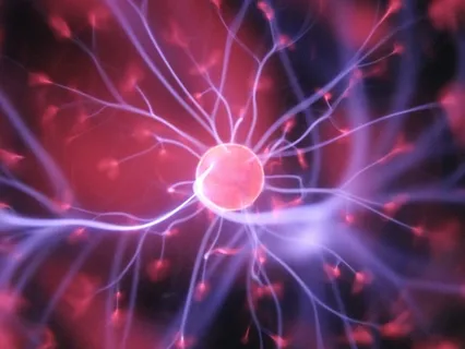 Dr. Julia Mossbridge On The Premonition Code