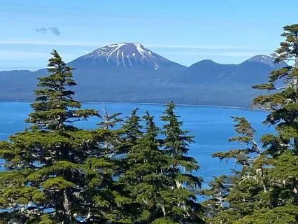 Dr. Nina's Friday Morning Meditation Circle: Chakra 3