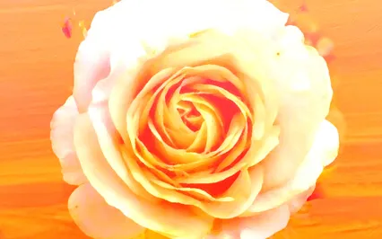 Dr. Paul Leon Masters Meditation On Illumination