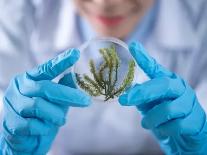 Dr. Ron Epstein - A Perspective On Medicine, Mindfulness