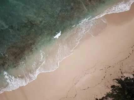 Dr. Wayne Dyer Interview On Aloha