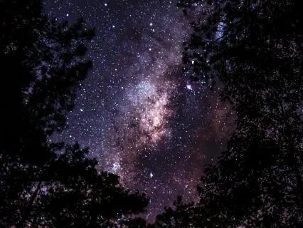 Draconian Starseed Yoga Nidra | The Guardians & Transformers