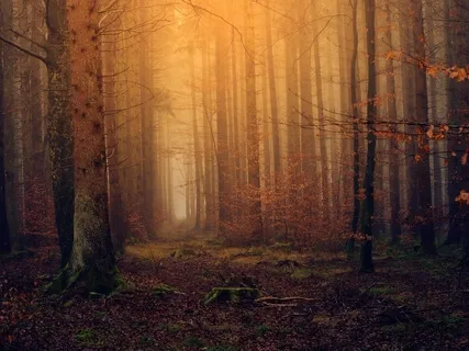 Dracula's Guest By Bram Stoker