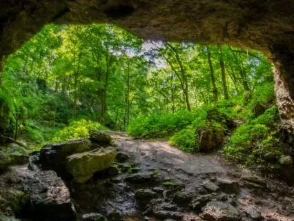 Dragon’s Lair Of Courage